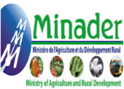 LOGO MINADER